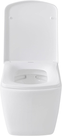 Allen Brau Унитаз с инсталляцией Liberty 4.33004.20/8.9466.0.000.000.1 белый глянец – фотография-20